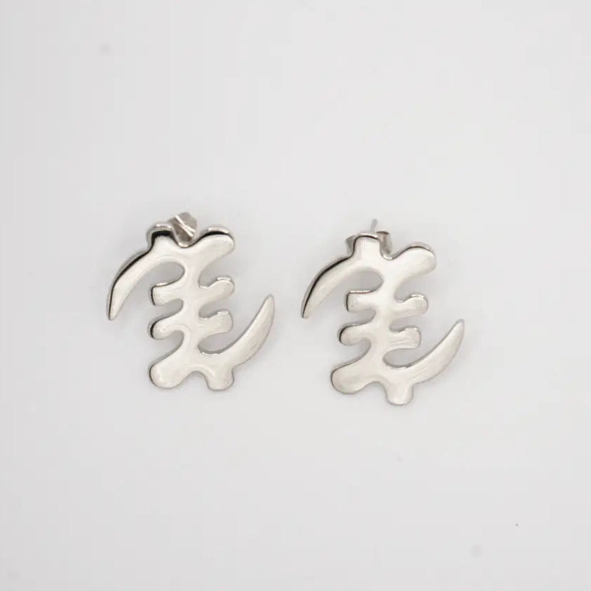 Pair of silver earrings on a light gray background